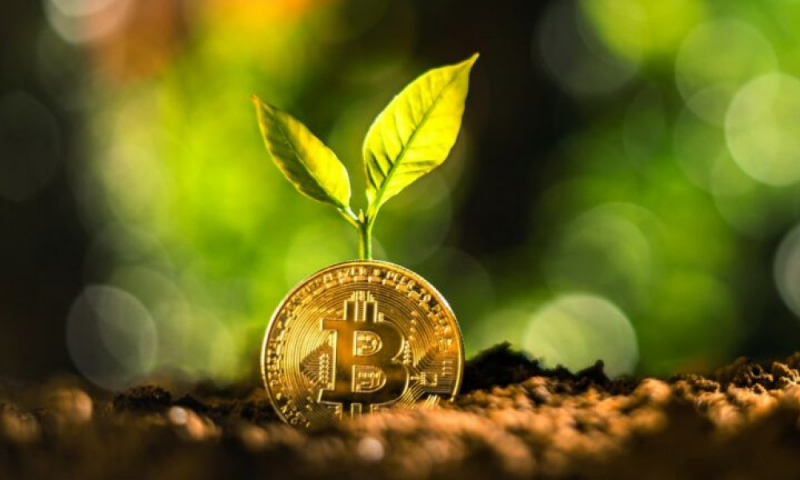 Gemini вернет не менее $ 1,1 млрд